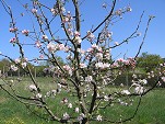 Foto 02