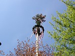 Foto 07