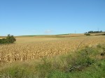 Foto 07