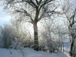 Foto 09